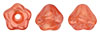 Baby Bell Flowers 4/6mm : Coated - Orange Sherbet