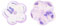 Flat Flowers 8/3mm: Alexandrite - AB