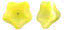 Trumpet Flower 8/13mm : Lemon/White