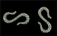 Whimsy Hook 21/12mm: Antique Silver