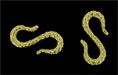 Whimsy Hook 21/12mm: Brass